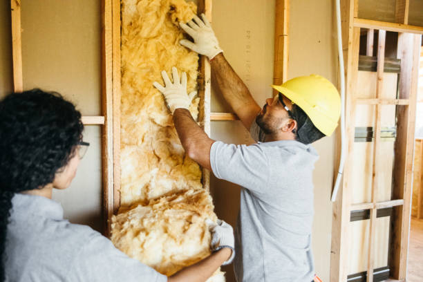 Best Insulation Removal  in Idyllwild Pine Cove, CA